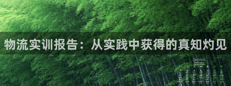 28圈取保：物流实训报告：从实践中获