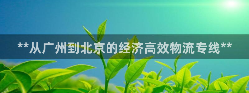 28圈登录网：**从广州到北京的经济