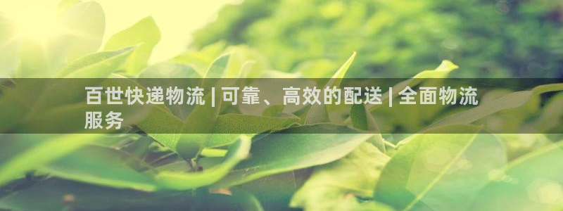 28圈软件：百世快递物流 | 可靠、