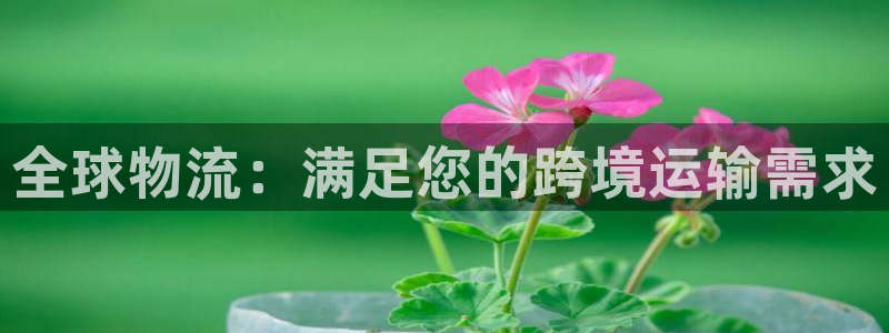 28圈app能退款吗：全球物流：满足