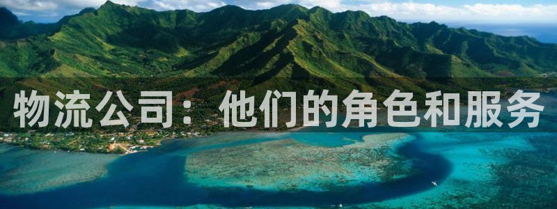 28圈分分28预测