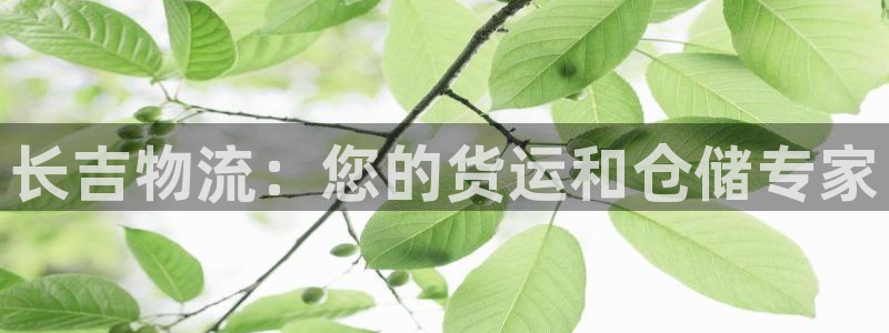 28圈注册登录链接：长吉物流：您的货